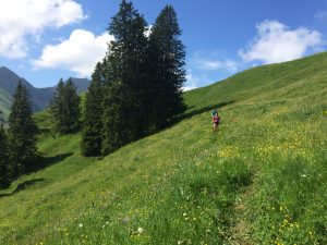 2015.06.07 Trail Paccots