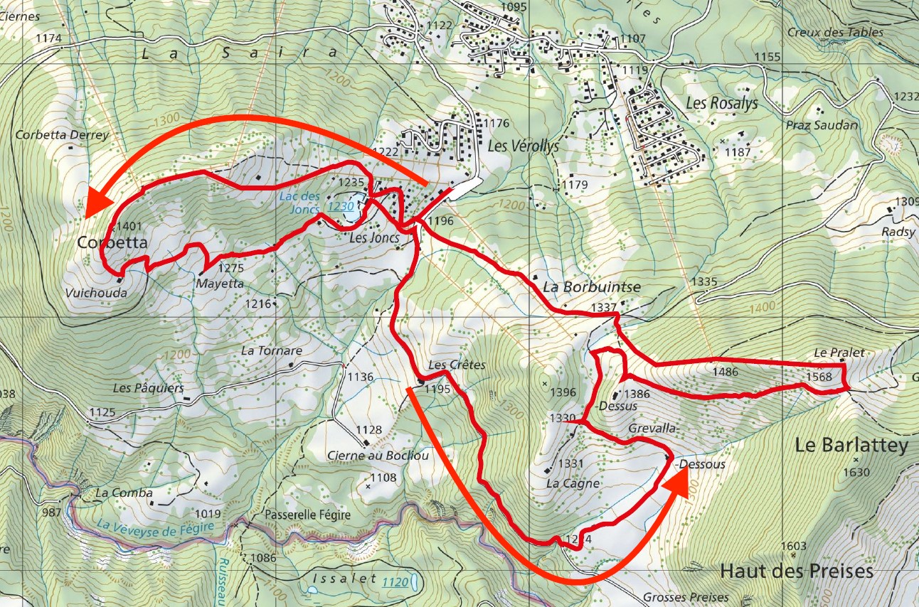 Poya_trail_2020_parcours